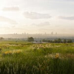 Render of Horwich Habitat Bank with habitats restored, showing lush meadows and ponds with Manchester city skyline in the background