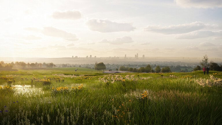 Render of Horwich Habitat Bank with habitats restored, showing lush meadows and ponds with Manchester city skyline in the background