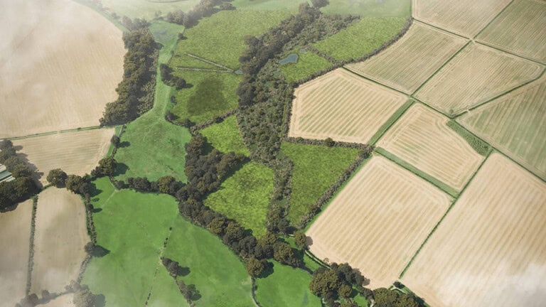 Birds-eye render of Witchampton Habitat Bank with habitats restored, including new meadows, rivers, grazing marsh, ditches, scrub, grassland, and native hedgerow