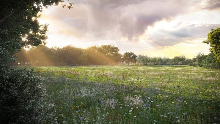 Render of Witchampton Habitat Bank with habitats restored, showing stunning wildflower meadow surrounded by trees