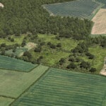 Birds-eye render of Minting Habitat Bank with habitats restored, including new ponds, scrub, grassland, and broadleaved woodland