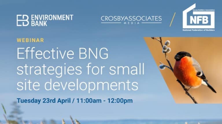 Effective BNG strategies for small site developments - with Environment Bank, Crosby Associates Media, and National Federation of Builders
