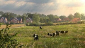 Eye-level render of Hartlepool Habitat Bank showing new wildflower meadows being grazed by native cattle, with a neighbouring housing estate in the background
