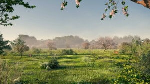 Render of Snettisham Habitat Bank with habitats restored, showing dense scrubland surrounded by trees in blossom