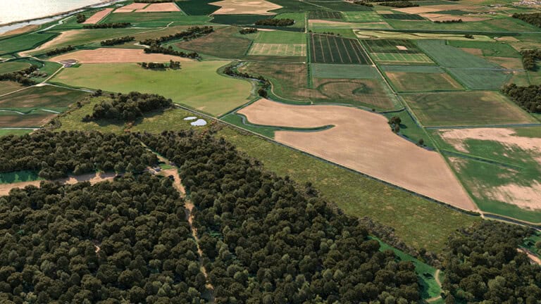 Birds-eye render of Dersingham Habitat Bank with habitats restored, including new reedbeds, ponds, scrub, and grassland close to the Norfolk coastline