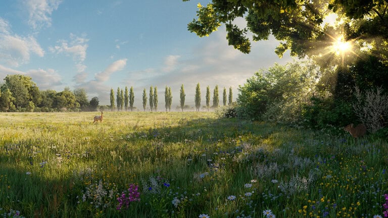 Render of Emberton Habitat Bank with habitats restored, showing native deer crossing a beautiful wildflower meadow with sunshine emerging through a hedgerow