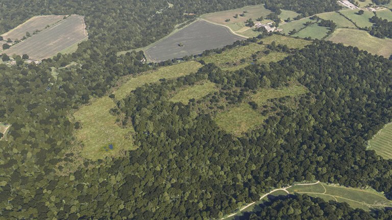 Birds-eye render of Ardingly Habitat Bank with habitats restored, including new meadows, native hedgerow, ditches, woodland, scrub, and ponds