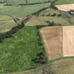 Birds-eye render of Bingfield Habitat Bank with habitats restored, including new meadows, ponds, and scrub