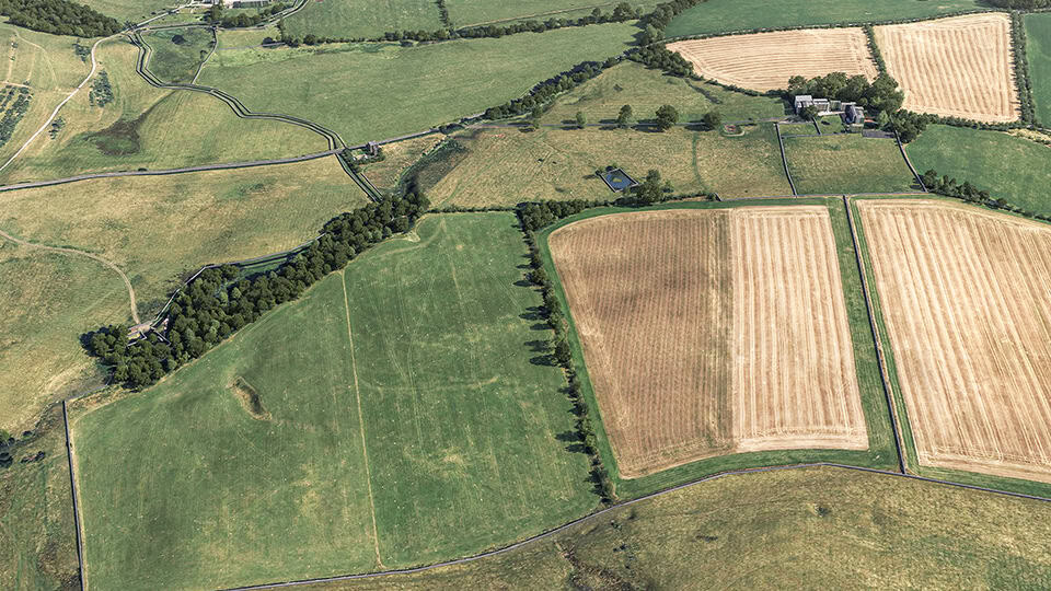 Birds-eye render of Bingfield Habitat Bank before restoration