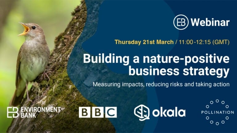 Building a nature-positive business strategy: Measuring impacts, reducing risks, and taking action - with Environment Bank, BBC, Okala, and Pollination