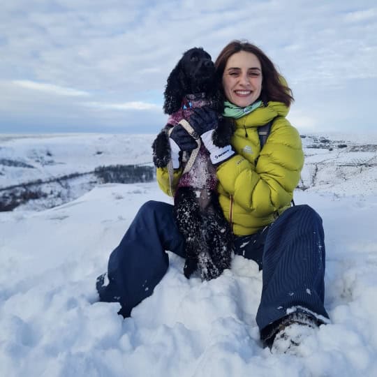 Pip [Nikita's cocker spaniel] (2)