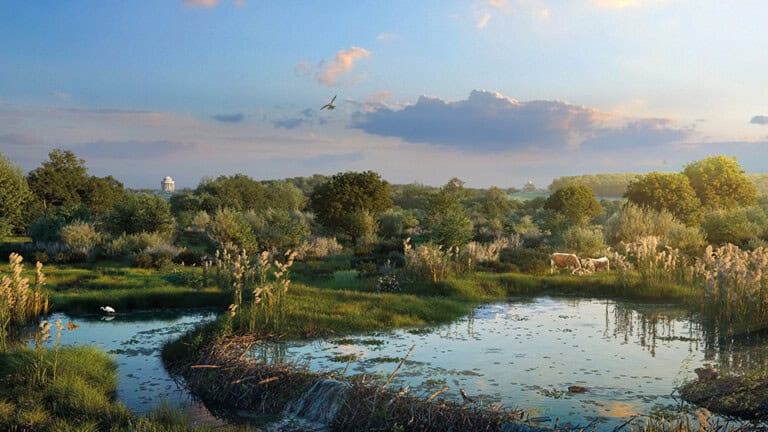 Render of Bog Hall Habitat Bank with habitats restored, showing a vast biodiverse space with wildlife like native cattle and birds alongside a beaver dam surrounded by trees with Castle Howard's Temple of the Four Winds in the background