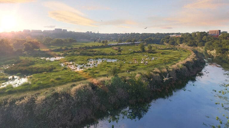 Render of Whitby Habitat Bank with habitats restored, showing biodiverse field with wetland and scrub being grazed by a small herd of cattle beside a river with local town in the background and wildlife like birds and dragonflies above