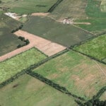Birds-eye render of Filey Habitat Bank with habitats restored, including new ponds, scrub, meadows, grassland, and native hedgerow