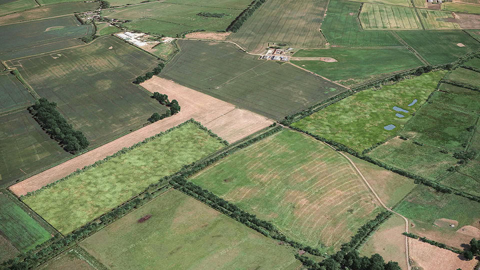 Birds-eye render of Filey Habitat Bank with habitats restored, including new ponds, scrub, meadows, grassland, and native hedgerow