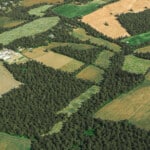 Birds-eye render of Blackboys Habitat Bank with habitats restored, including new meadows, scrub, grassland, ponds, and broadleaved woodland