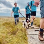 Environment Bank employee with other colleagues on a charity walk, wearing matching blue shirts, a woman in her twenties with a black and white spaniel she's walking on a lead
