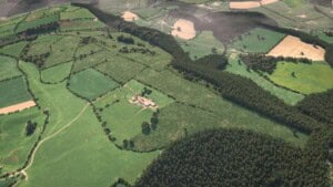 Birds-eye render of Wigmore Habitat Bank with habitats restored, including new meadows, hedgerow, scrub, grassland, and woodland