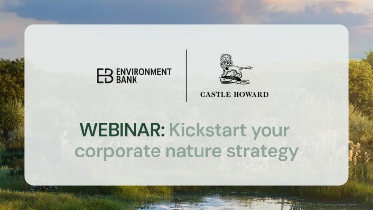 Webinar: Kickstart your corporate nature strategy with Environment Bank and Castle Howard