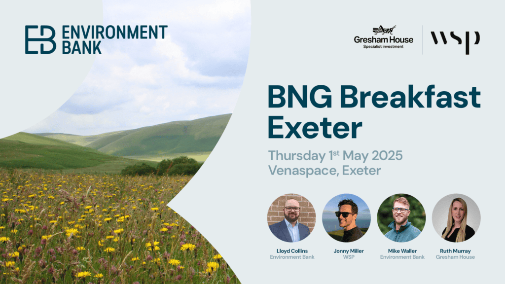 BNG Breakfast Exeter