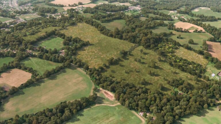 Birds-eye render of Chiddingfold Habitat Bank with habitats restored, including new meadows, scrub, grassland, hedgerows, and woodland