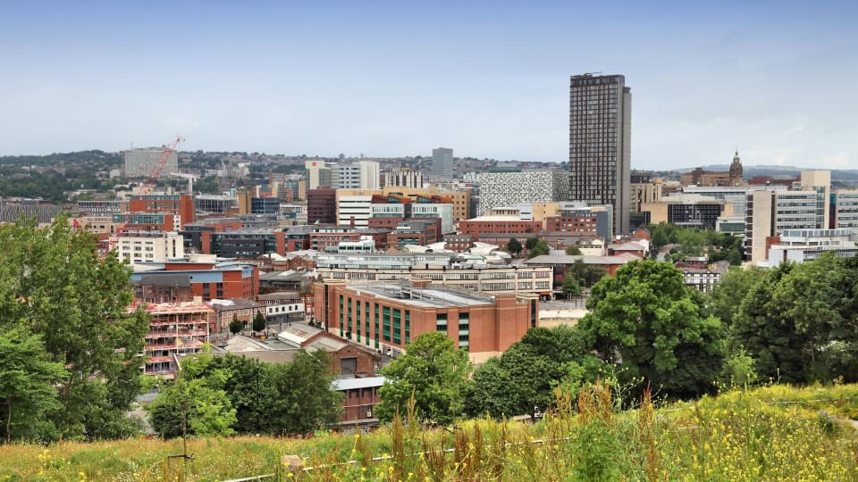 A view looking down onto Sheffield city from a wildflower grassland ridge showing commercial and residential buildings