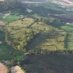 Birds-eye render of Coney Weston Habitat Bank with habitats restored, including new meadows, rivers, streams, hedgerows, rural trees, scrub, and broadleaved woodland