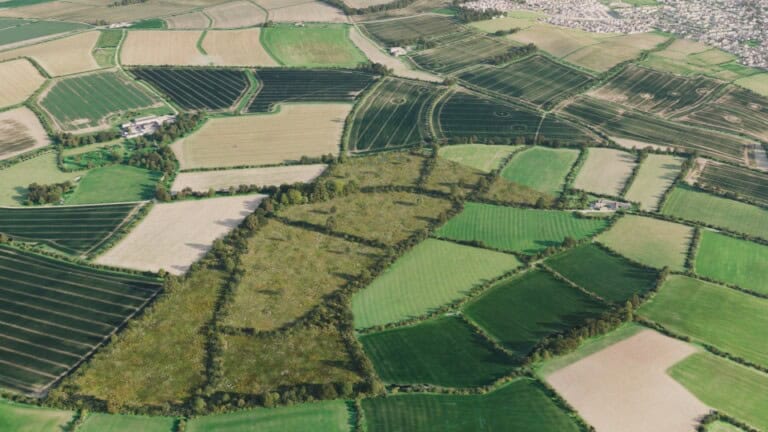 Birds-eye render of Stretton-on-Fosse Habitat Bank with habitats restored, including meadows, ponds, hedgerows, scrub, grassland, trees, and broadleaved woodland