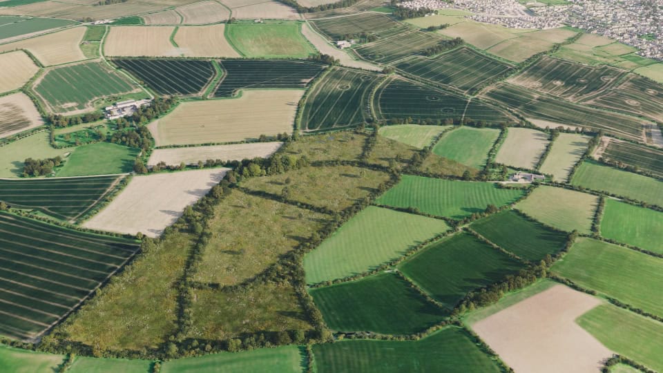 Birds-eye render of Stretton-on-Fosse Habitat Bank with habitats restored, including meadows, ponds, hedgerows, scrub, grassland, trees, and broadleaved woodland