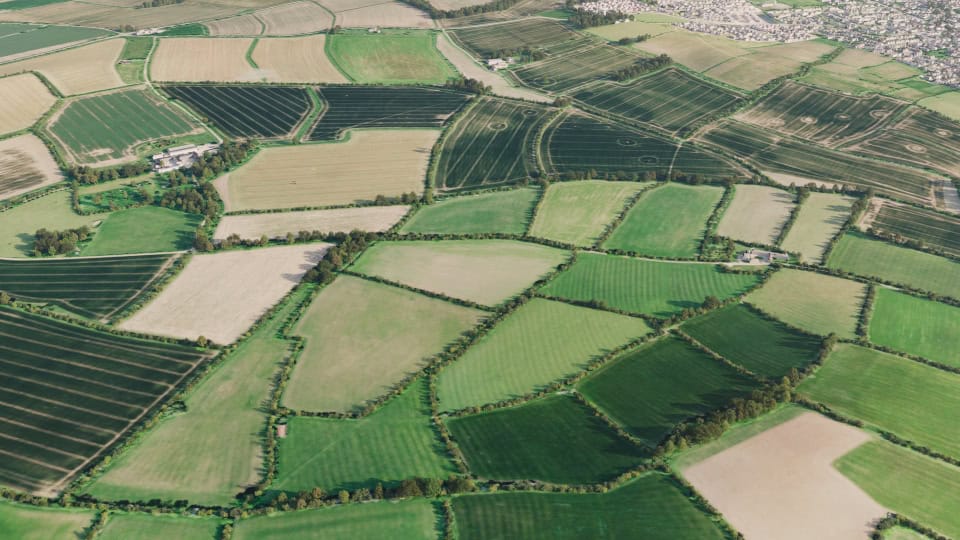 Birds-eye render of Stretton-on-Fosse Habitat Bank before restoration