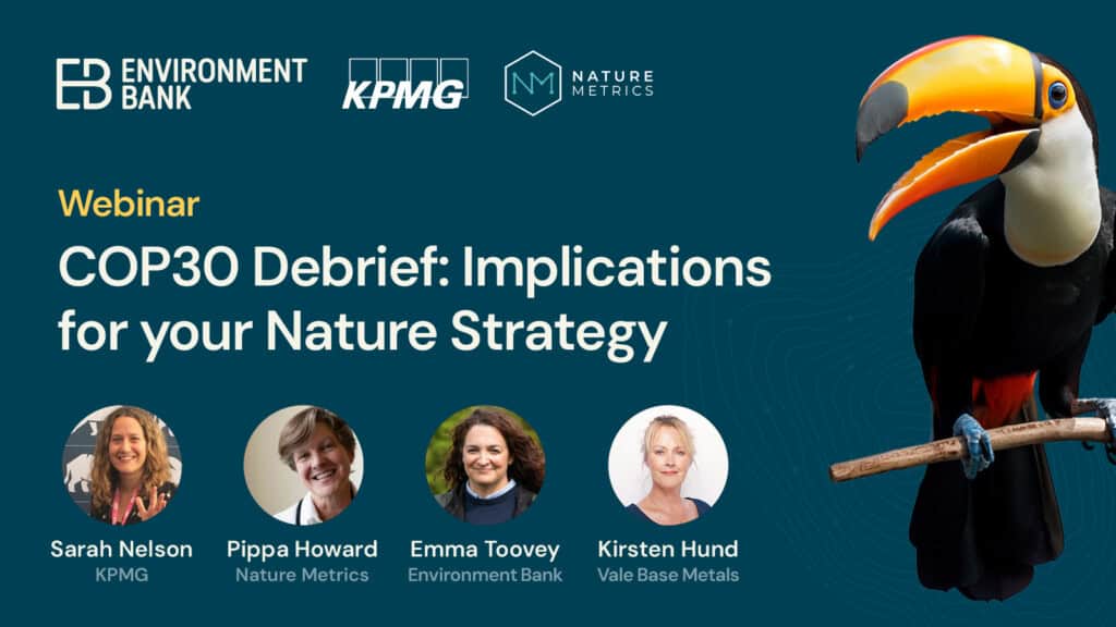 COP30 debrief webinar