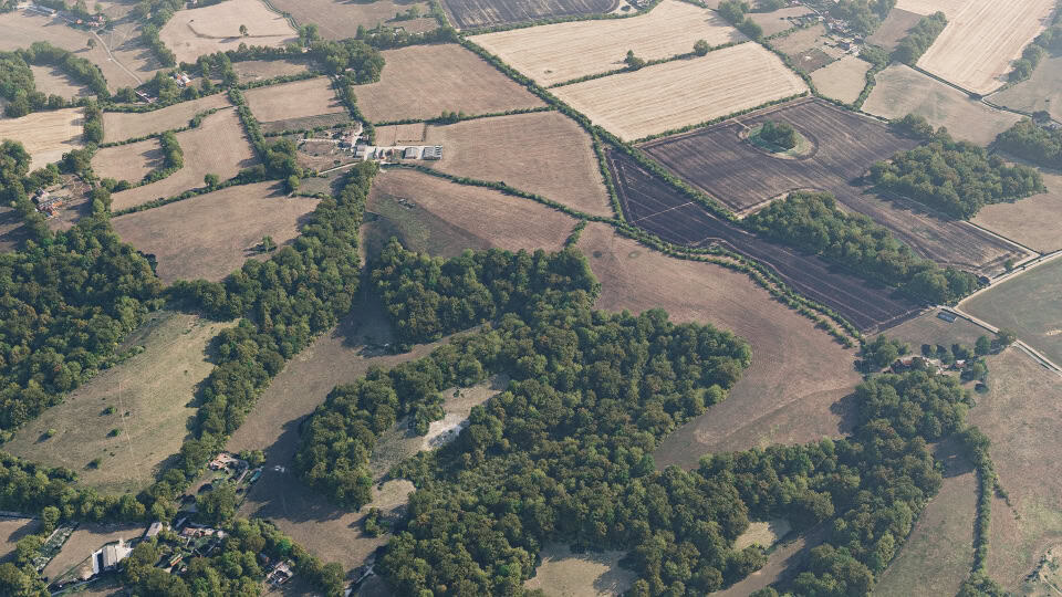 Birds-eye render of Hastingleigh Habitat Bank before restoration