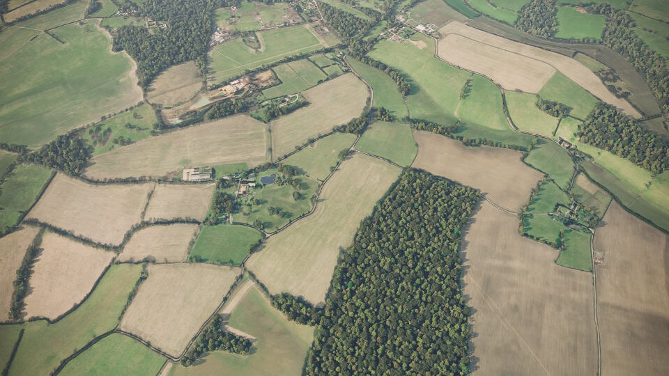 Birds-eye render of Chesham Habitat Bank before restoration