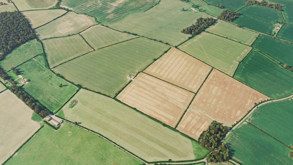 Birds-eye render of Corby Habitat Bank before restoration