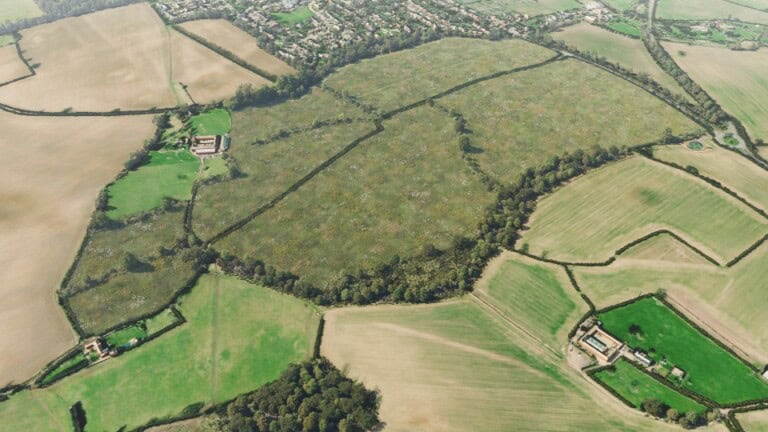 Birds-eye render of Wheathampstead Habitat Bank with habitats restored, including meadows, species-rich native hedgerow, neutral grassland, and broadleaved woodland