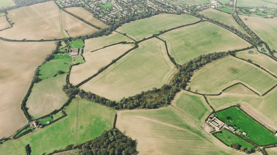 Birds-eye render of Wheathampstead Habitat Bank before restoration