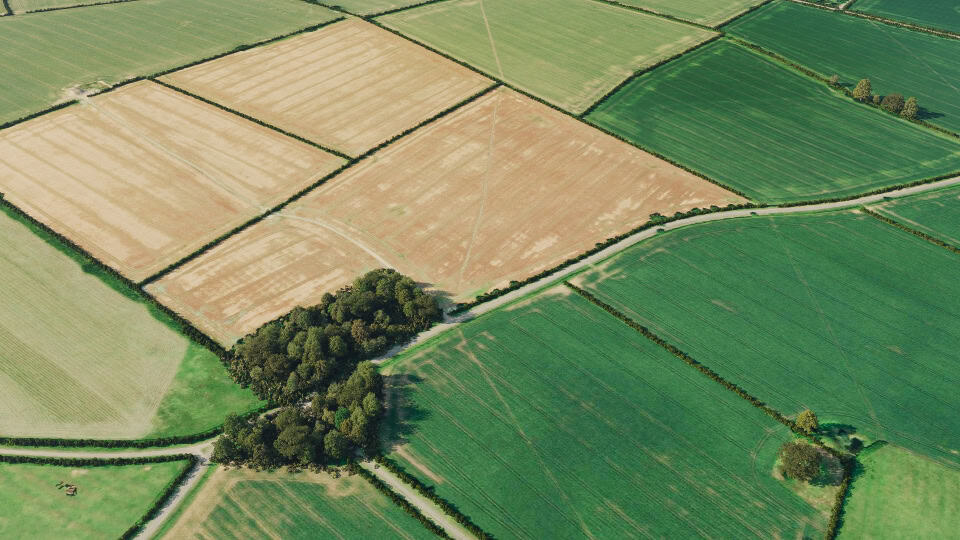 Birds-eye render of Thrapston Habitat Bank before restoration