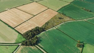 Birds-eye render of Thrapston Habitat Bank with habitats restored, including mixed scrub, other neutral grassland, and rural trees