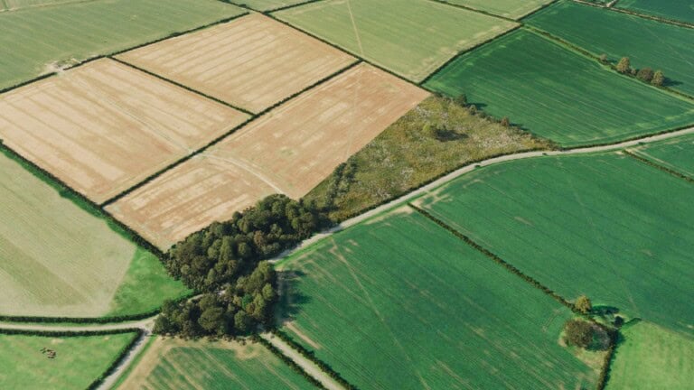 Birds-eye render of Thrapston Habitat Bank with habitats restored, including mixed scrub, other neutral grassland, and rural trees