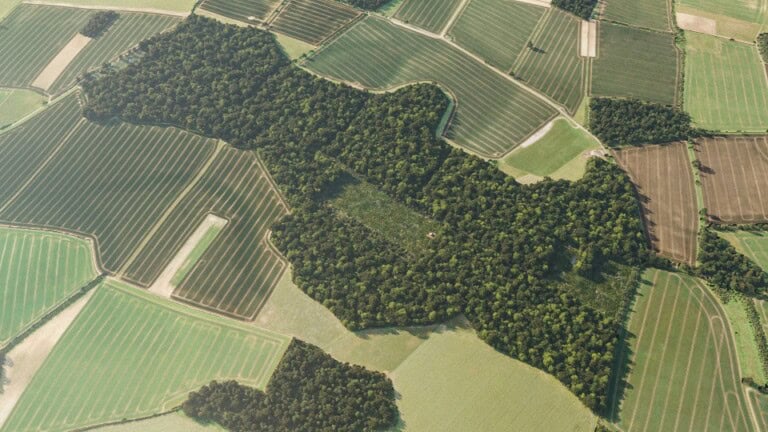 Birds-eye render of Whitchurch Habitat Bank with habitats restored, including lowland mixed deciduous woodland