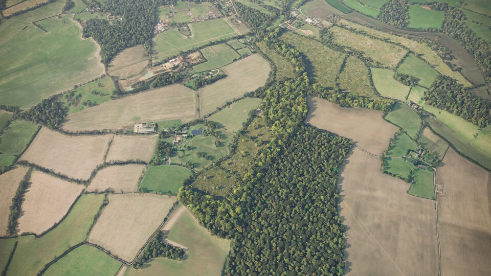 Birds-eye render of Chesham Habitat Bank with habitats restored, including meadows, hedgerow, orchards, ditches, scrub, grassland, and woodland