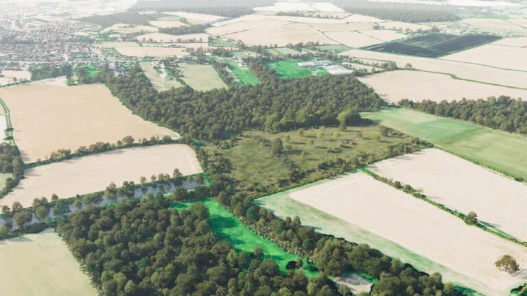 Birds-eye render of Heybridge Habitat Bank with habitats restored, including lowland meadows, species-rich native hedgerow with trees, ditches, mixed scrub, neutral grassland, broadleaved woodland, and rural trees