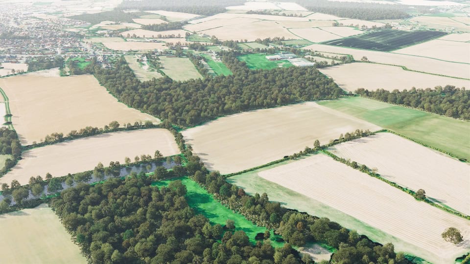 Birds-eye render of Heybridge Habitat Bank before restoration