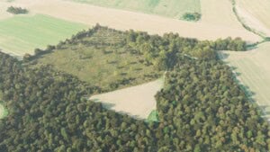 Birds-eye render of Tiptree Habitat Bank with habitats restored, including species-rich hedgerow with trees, traditional orchards, mixed scrub, neutral grassland, rural trees, and broadleaved woodland