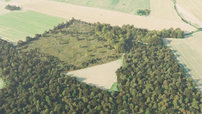 Birds-eye render of Tiptree Habitat Bank with habitats restored, including species-rich hedgerow with trees, traditional orchards, mixed scrub, neutral grassland, rural trees, and broadleaved woodland