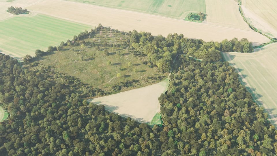 Birds-eye render of Tiptree Habitat Bank with habitats restored, including species-rich hedgerow with trees, traditional orchards, mixed scrub, neutral grassland, rural trees, and broadleaved woodland
