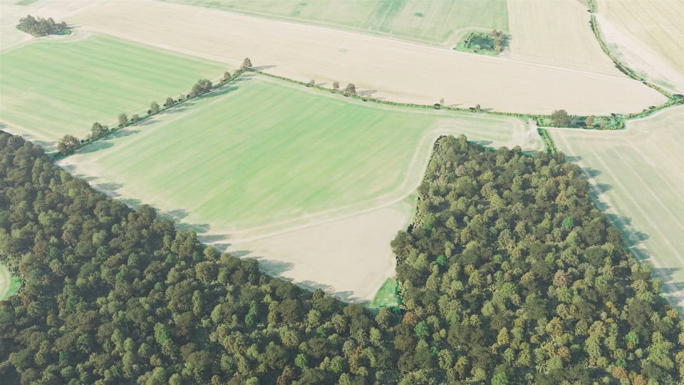 Birds-eye render of Tiptree Habitat Bank before restoration
