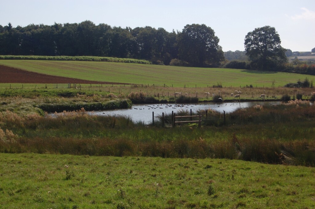 The view over a watercourse at one of Environment Bank's Habitat Banks.