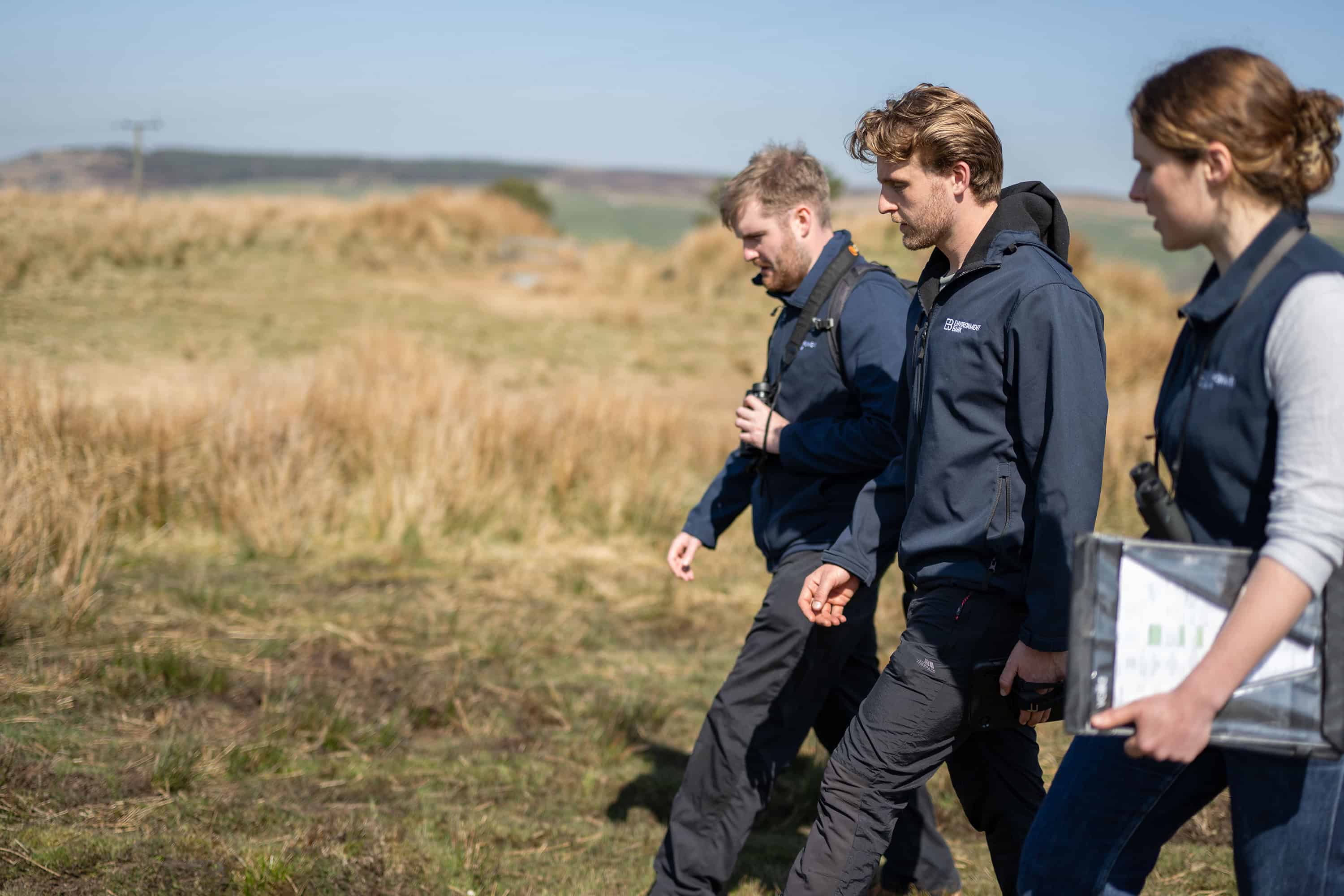 Ecologists on site