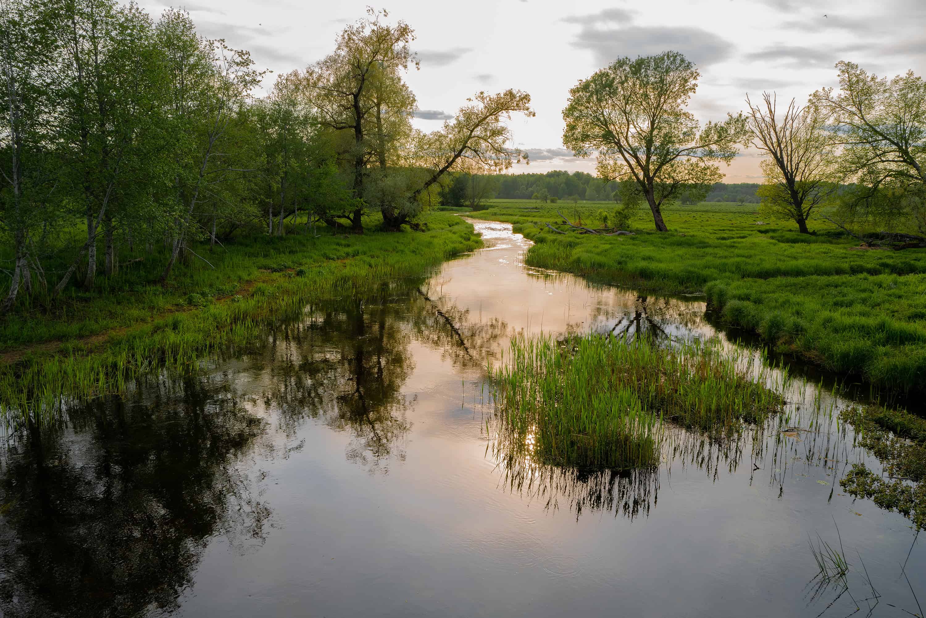 Flood management